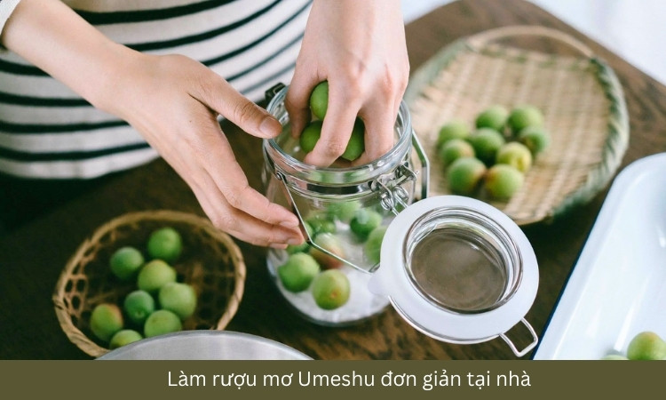 làm umeshu đơn giản tại nhà