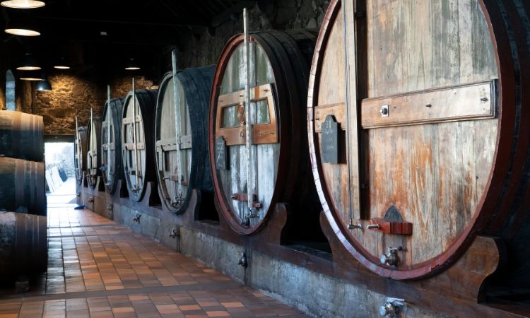 lên men rượu vang