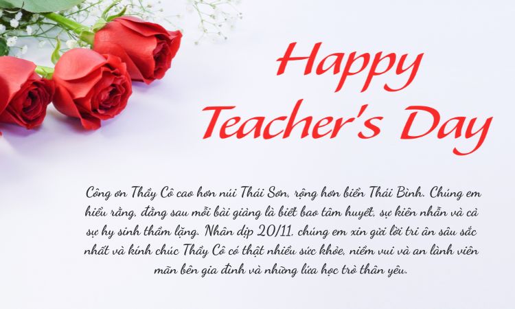 lời chúc 20/11 cho thầy cô cảm động nhất