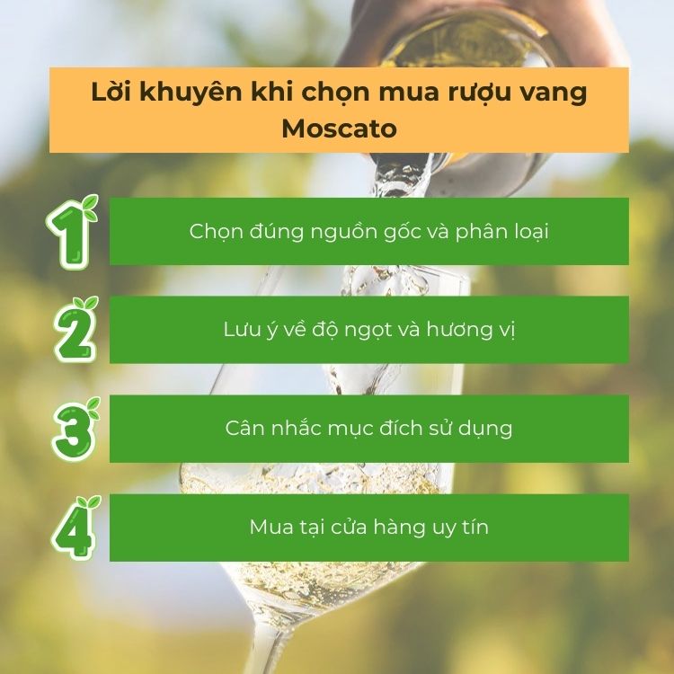 lời khuyên mua rượu moscato