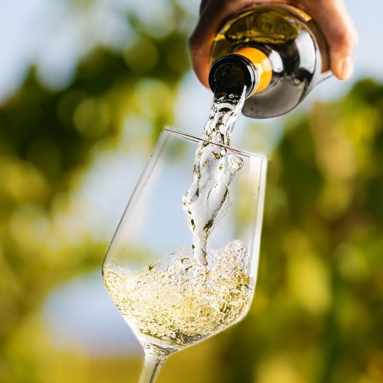 ly uống rượu moscato