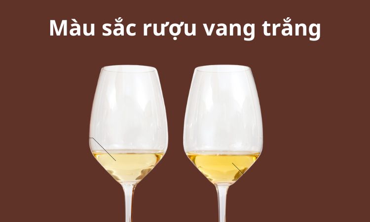 màu sắc rượu vang trắng