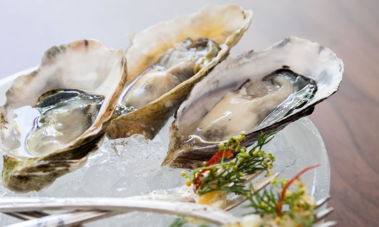 món ăn kết hợp cùng martini