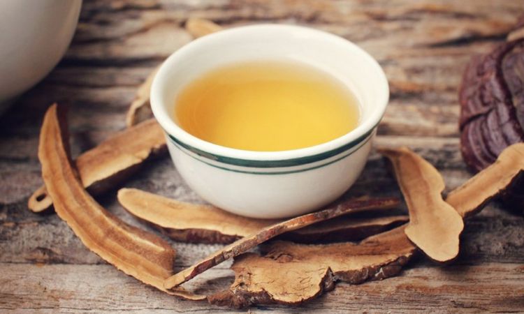 nấm linh chi thảo dược ngâm rượu