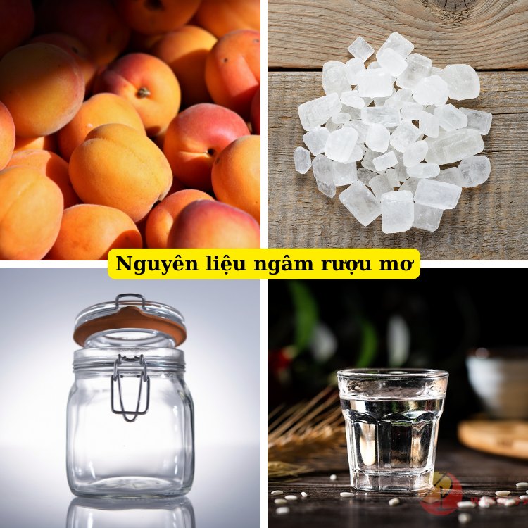 nguyên liệu ngâm mơ