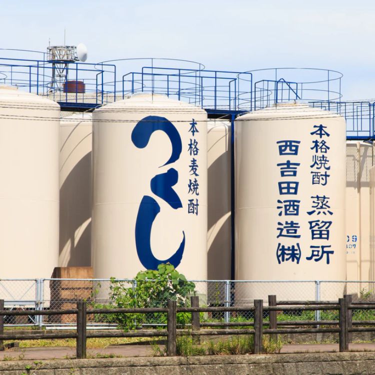 nhà máy chưng cất kinobi