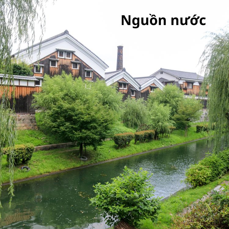 nhà máy sake