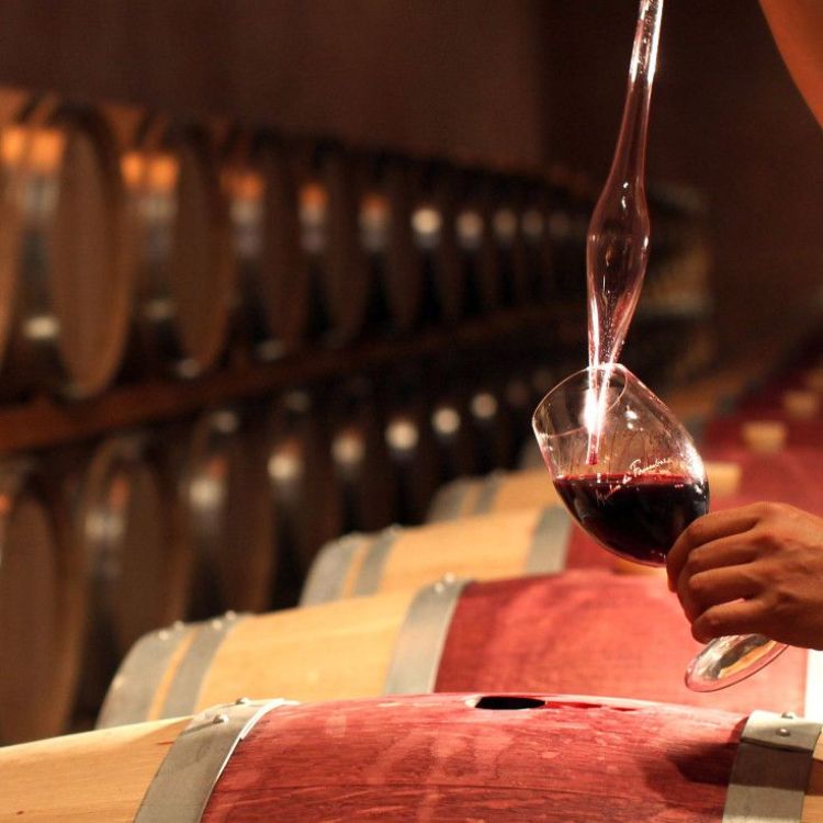 nhà sản xuất rượu