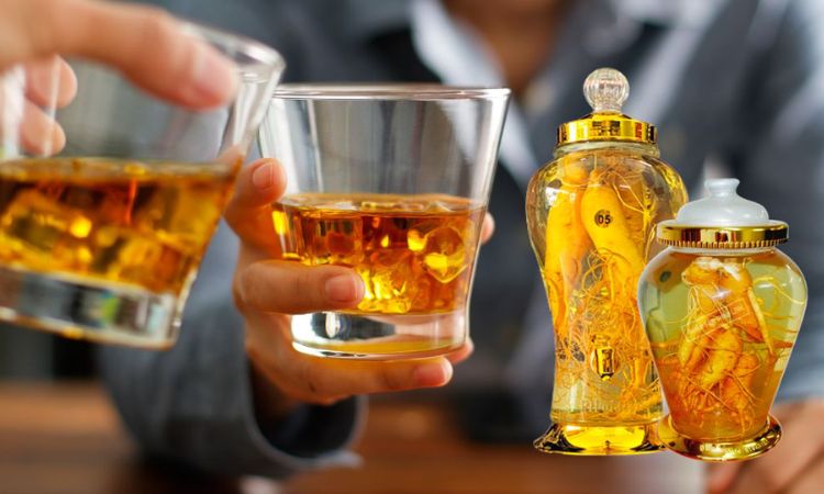 nhân sâm ngâm rượu