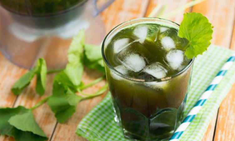 nước uống ngày tết bằng rau má