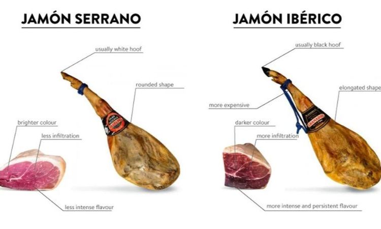 phan-biet-dui-heo-muoi-iberico-va-serrano