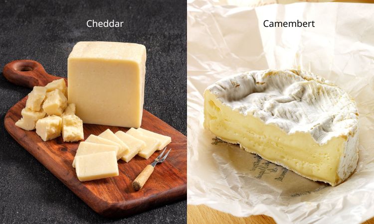 phô mai trong set cold cut