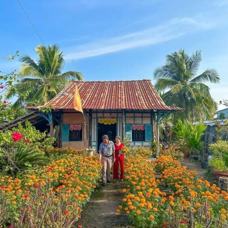 phong tục trồng mai chưng tết