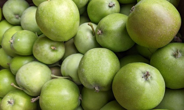 quả mơ tây bắc ngâm rượu