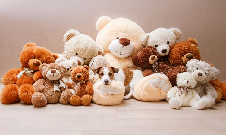 quà tặng 20-10 cho người yêu gấu bông