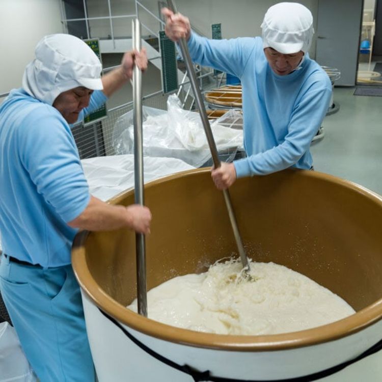 quá trình làm rượu sake