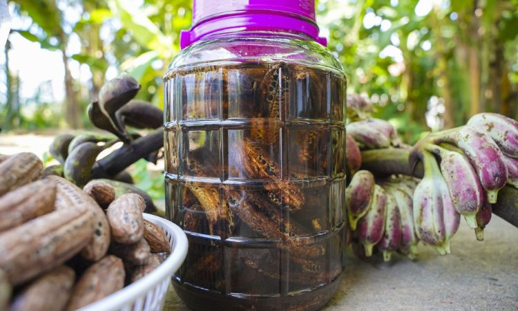 rượu chuối hột