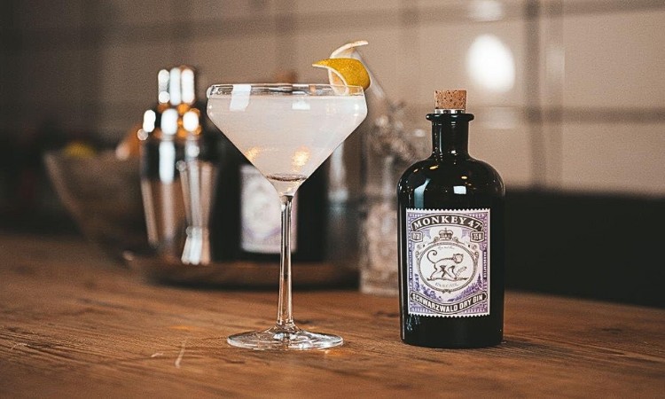 rượu gin monkey 47