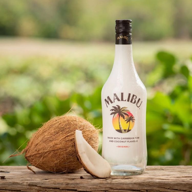 rượu malibu ra đời