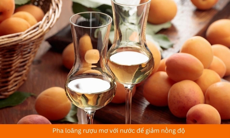 rượu mơ mix nước