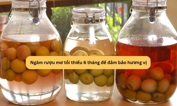 rượu mơ umeshu 6 tháng