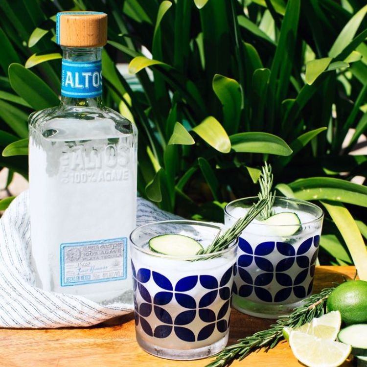 rượu olmeca altos plata ra đời