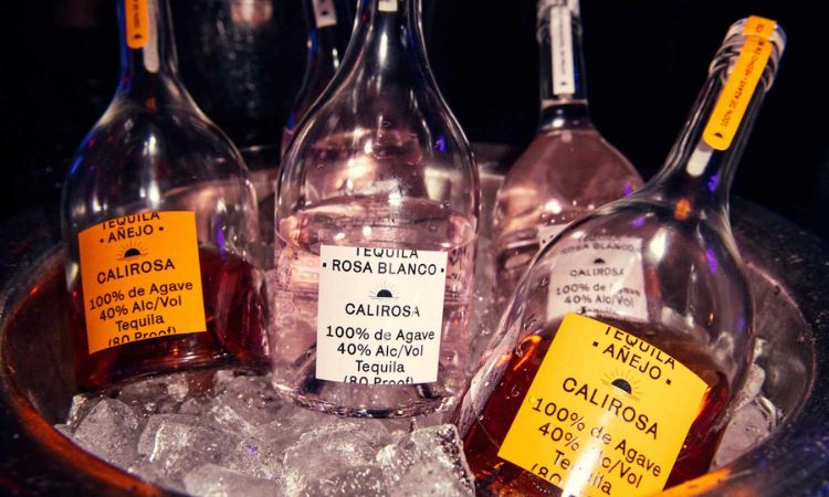 rượu tequila nổi bật