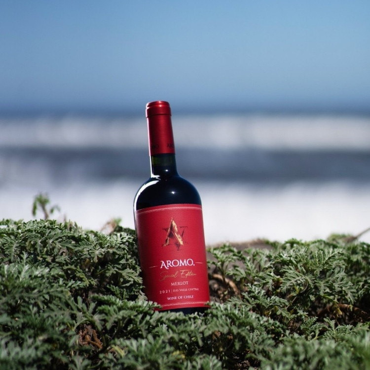 rượu từ nho merlot