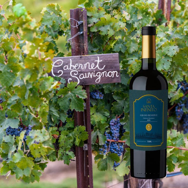 rượu vang 500k santa infinito