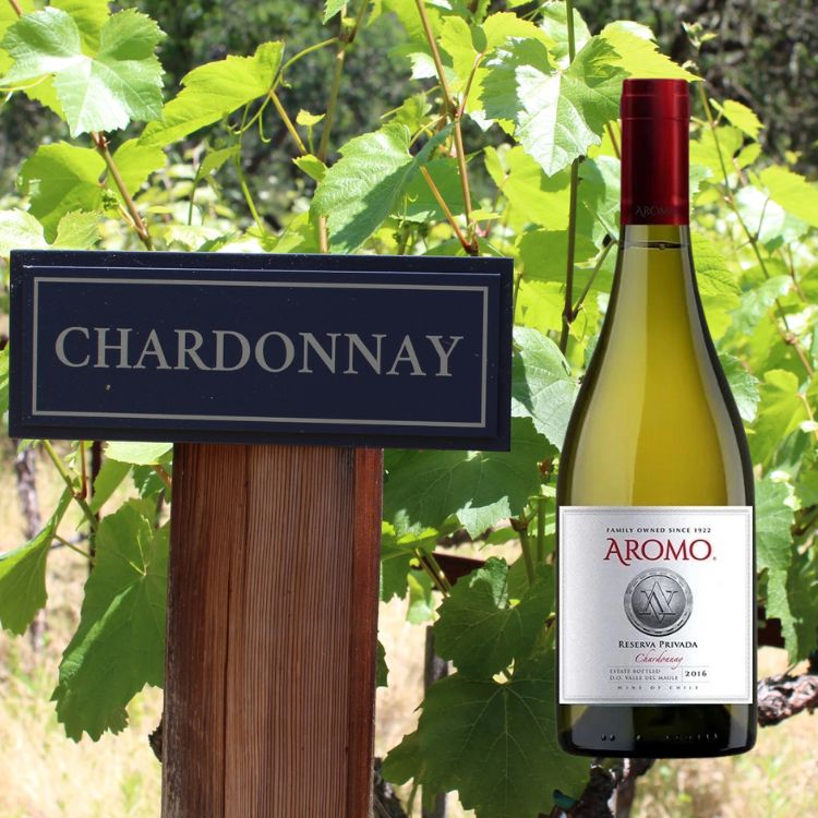 rượu vang aromo chardonnay