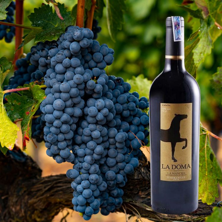 rượu vang dễ uống ladoma