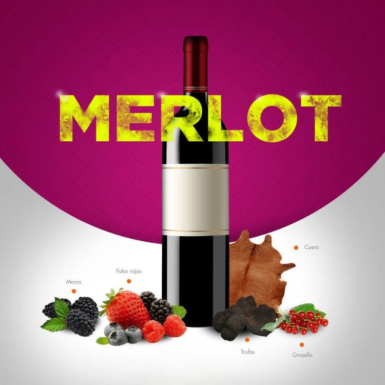rượu vang dễ uống nho merlot