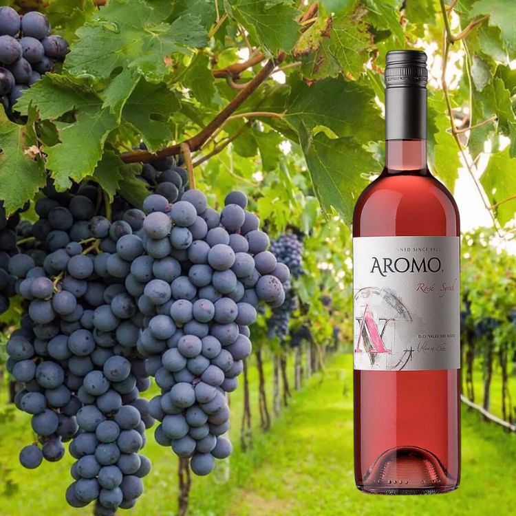 rượu vang hồng 500k aromo rose syrah