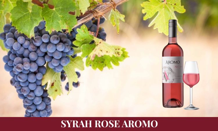 rượu vang hồng aromo syrah rose