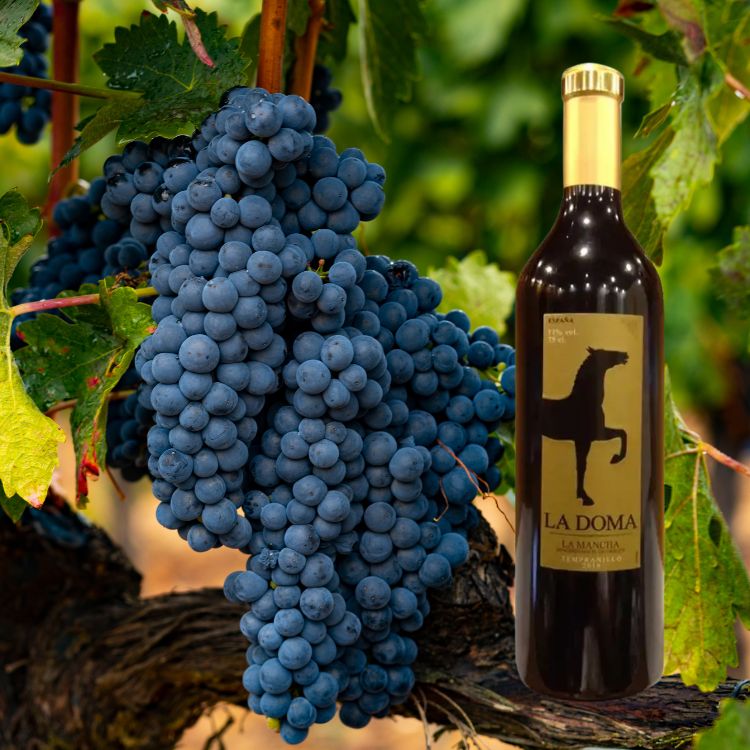 rượu vang la doma 500k