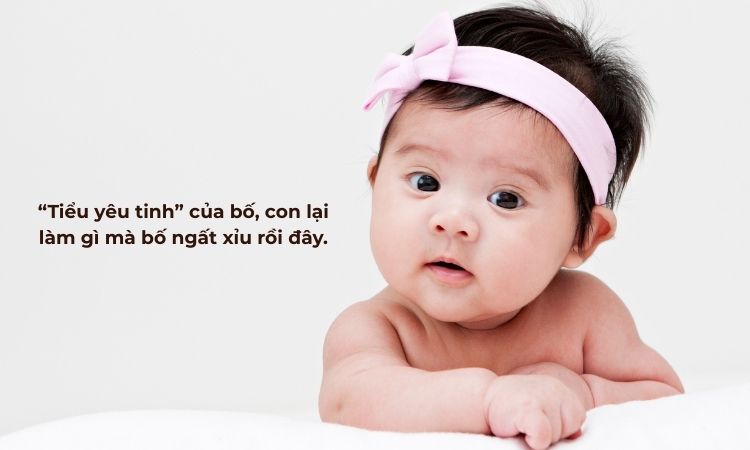 stt hài hước về con gái rượu