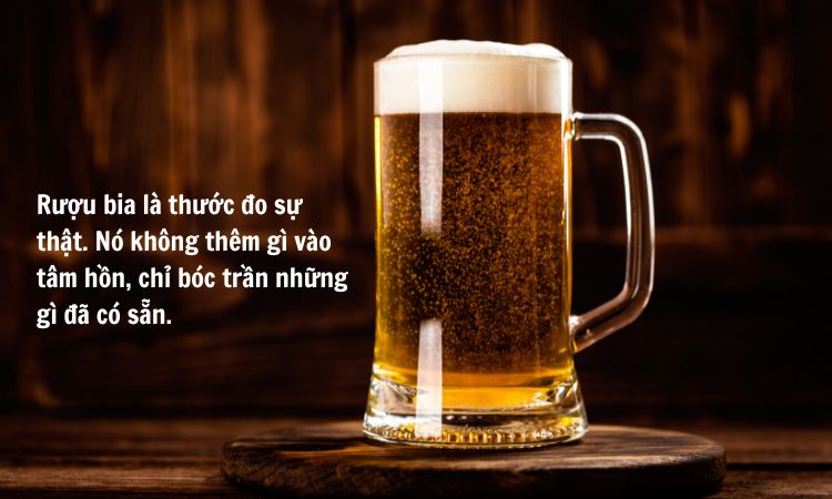 stt về rượu bia sâu sắc