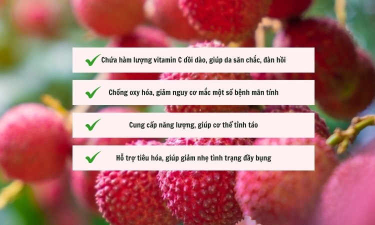 tác dụng của quả vải thiều