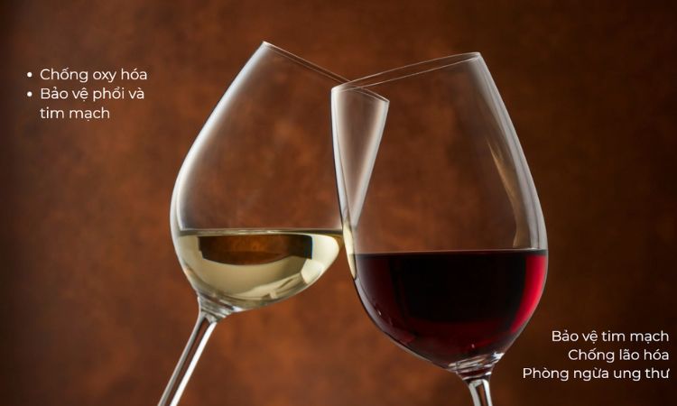 tác dụng vang đỏ và vang trắng