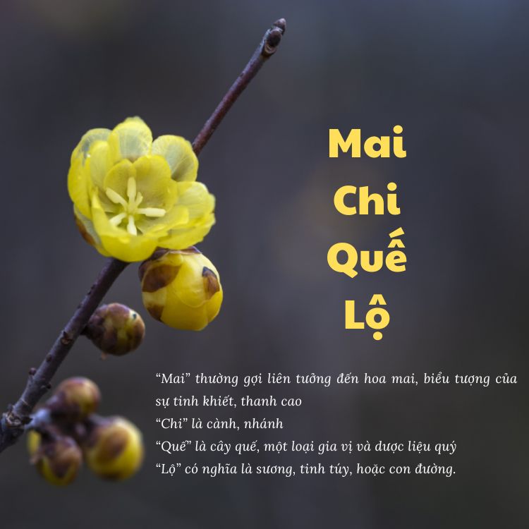 tên gọi
