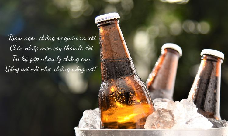 thơ về rượu bia nhẹ nhàng
