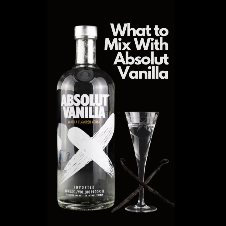 thưởng thức absolut vanilla