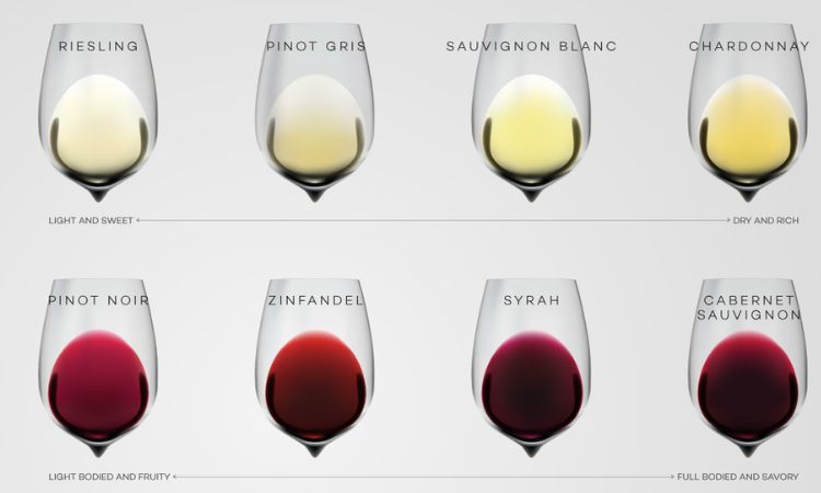 thưởng thức đa dạng dòng vang