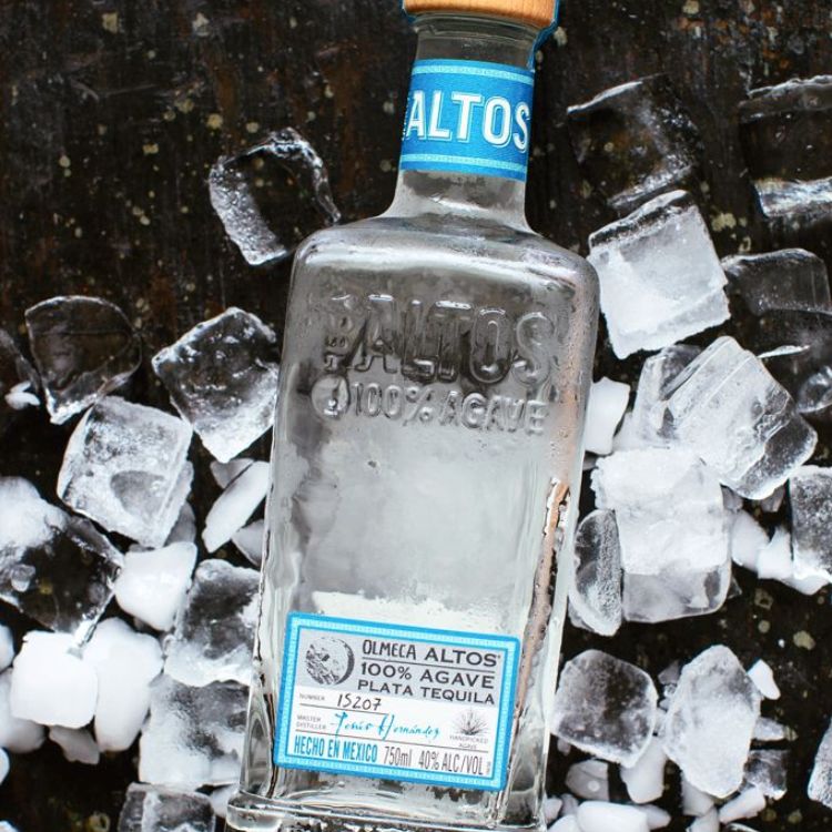 thưởng thức olmeca altos plata