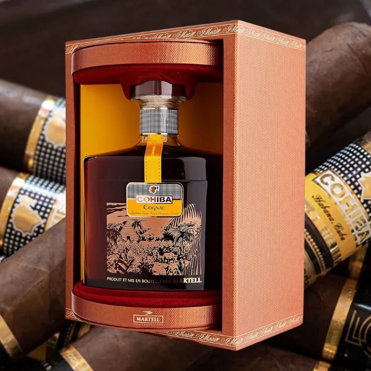thưởng thức rượu martell cohiba