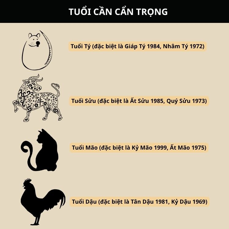 tuổi cần cẩn trọng 2026