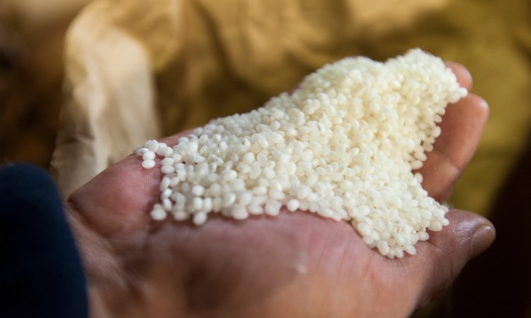 tỷ lệ mài gạo rượu sake junmai