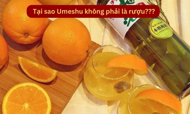 umeshu không phải là rượu