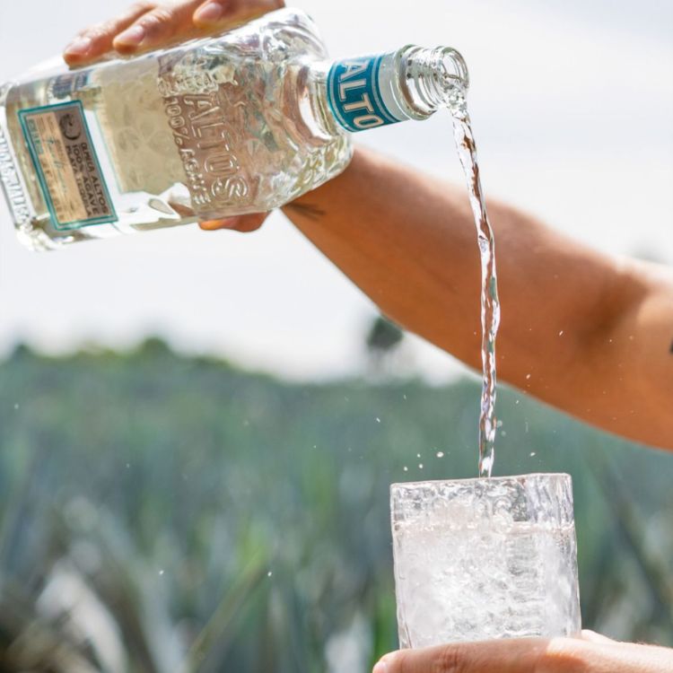 uống nguyên chất olmeca altos plata