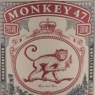 logo monkey 47
